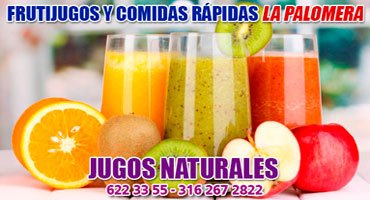 Frutijugos-y-Comidas-Rápidas-La-Palomera