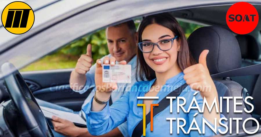 Asesorías de Tránsito y Transporte