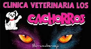 Clínica Veterinaria Los Cachorros