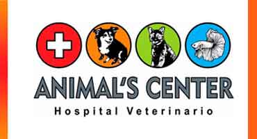 Clinica-Veterinaria-Animals-Center